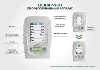 СКЭНАР-1-НТ (исполнение 01)  в Краснодаре купить Медицинская техника - denasosteo.ru 